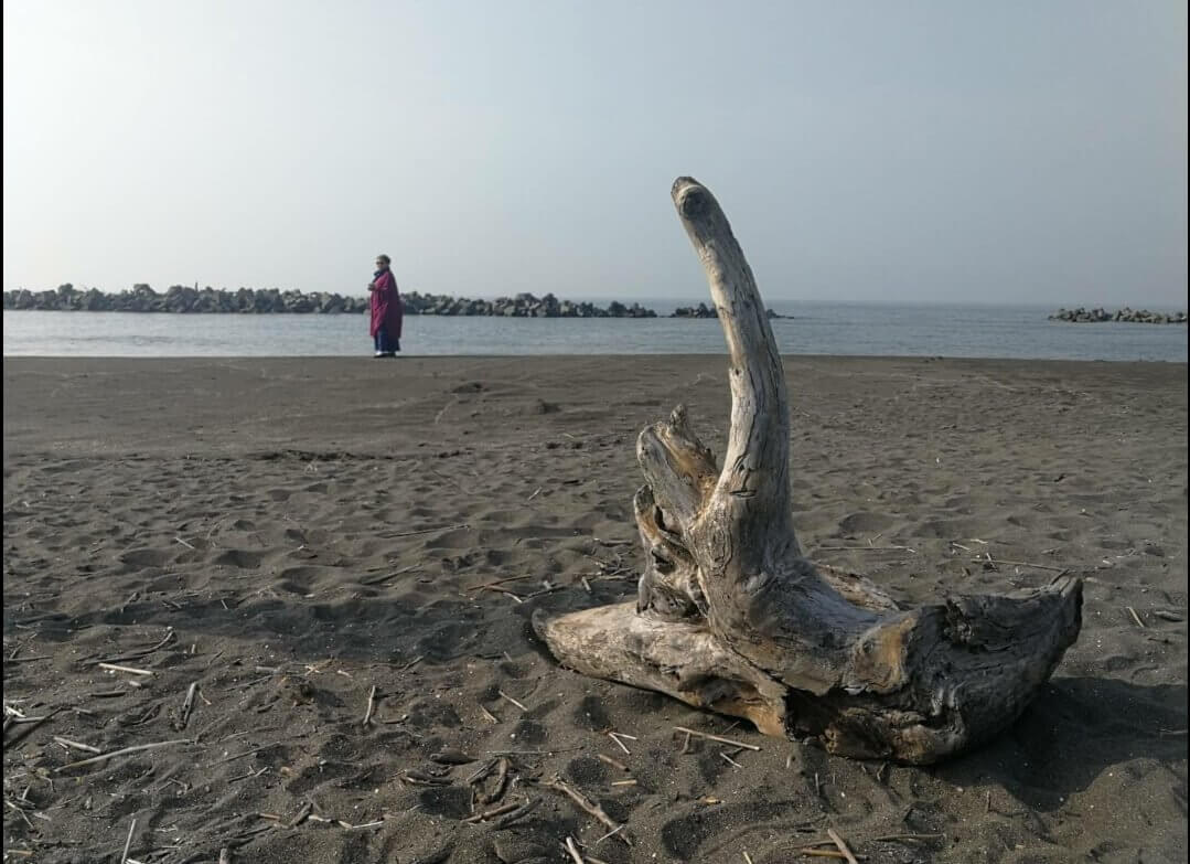 屏東東港芳鄰民宿(Funny B&B)的相簿分享圖片